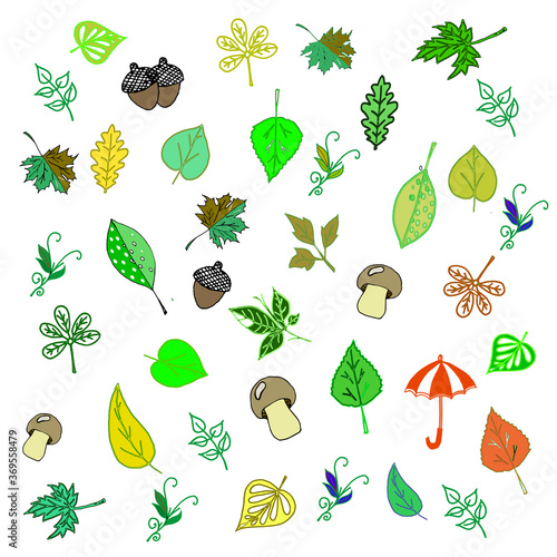 Autumn set. Yellow, red, orange leaves, mushrooms, umbrella. Suitable for backgrounds, postcards, notebooks, albums, clothing