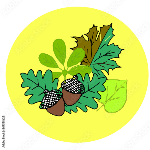 Beautiful autumn illustration. Leaves, acorns. Bouquet of autumn leaves. Suitable for postcards, notebooks, notebooks, binders, books, dishes, clothes