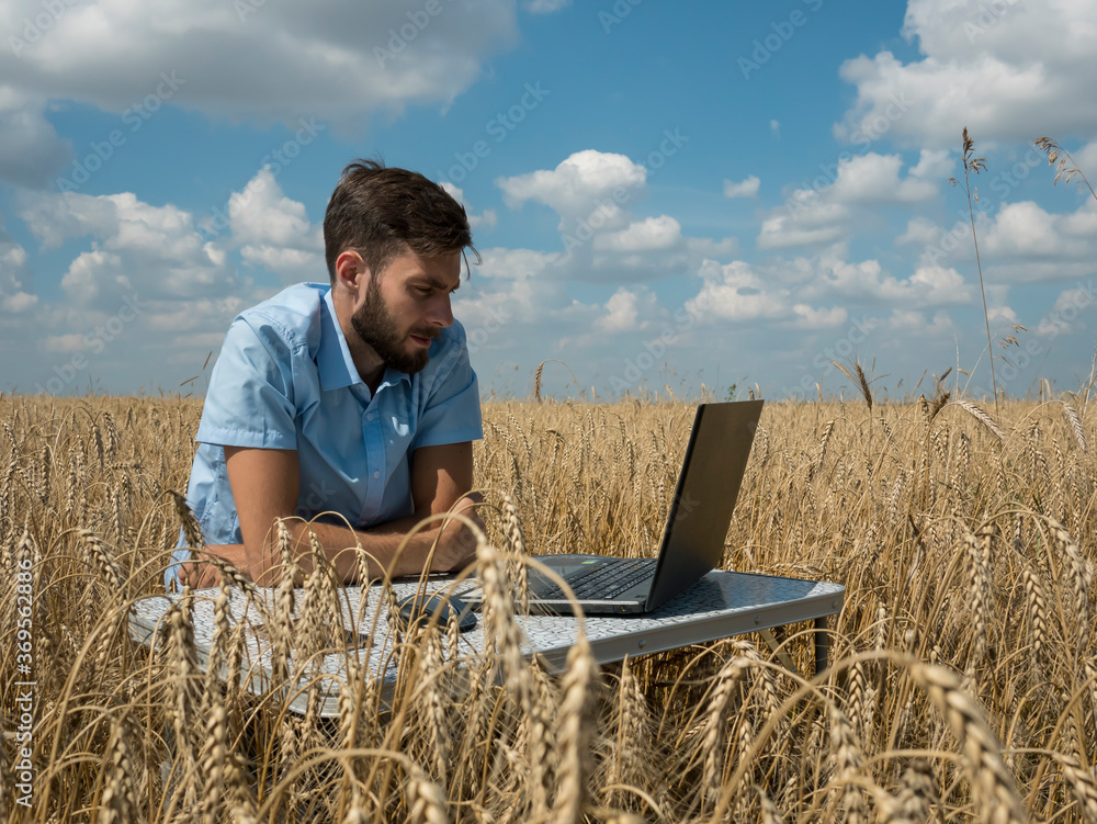 business men at remote work. A young man works for a laptop in a wheat field. business men at remote work. A young man works for a laptop in a wheat field.