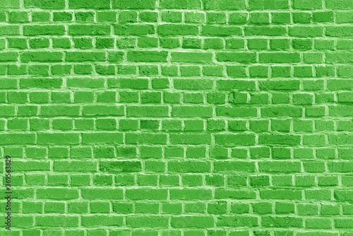 The background of the old green brick wall for design interior and various scenes or as a background for video interviews.