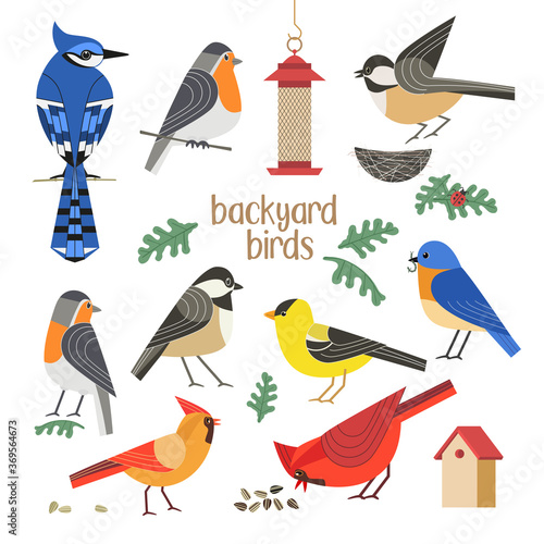 Backyard birds flat color vector icons collection