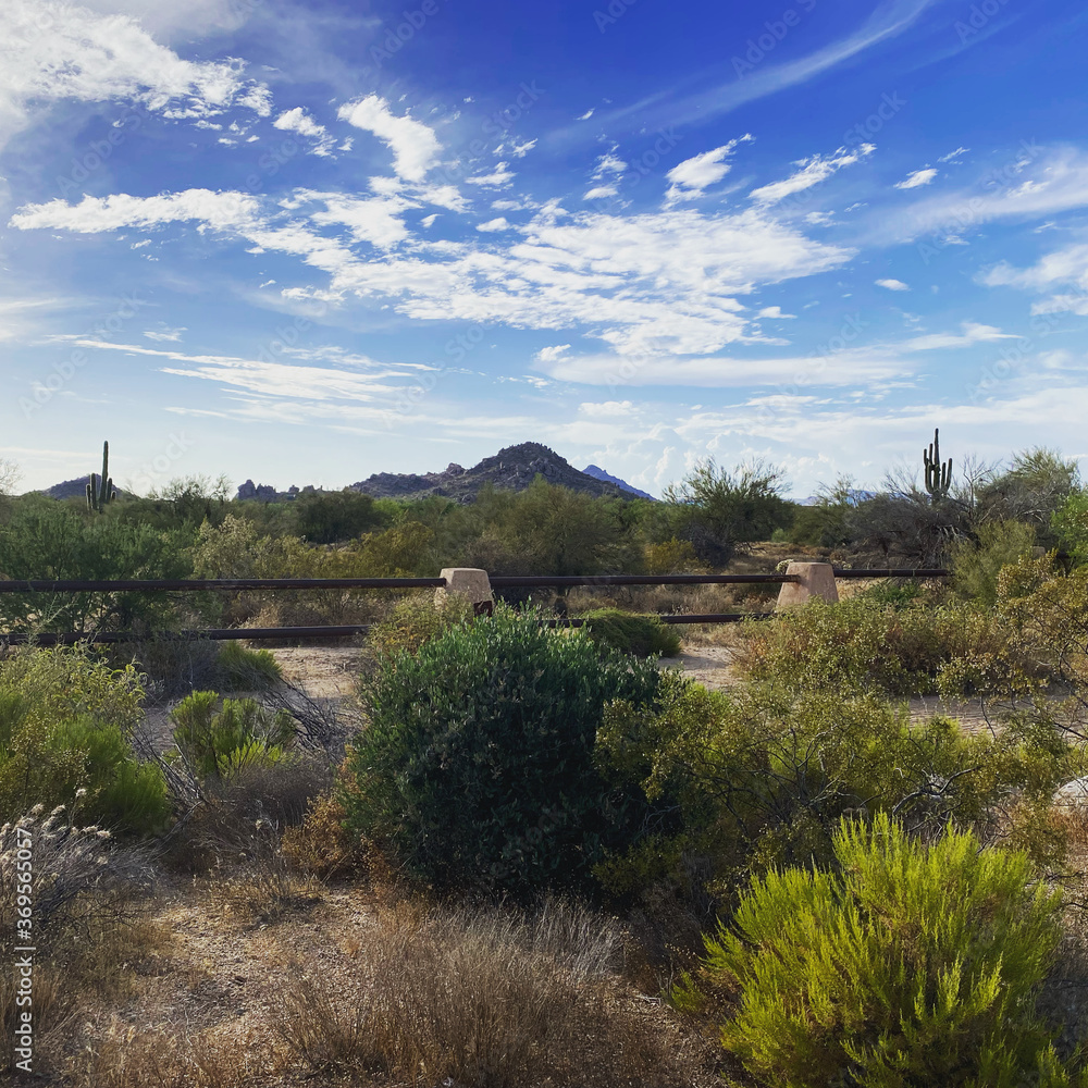 Obraz premium Desert Landscape