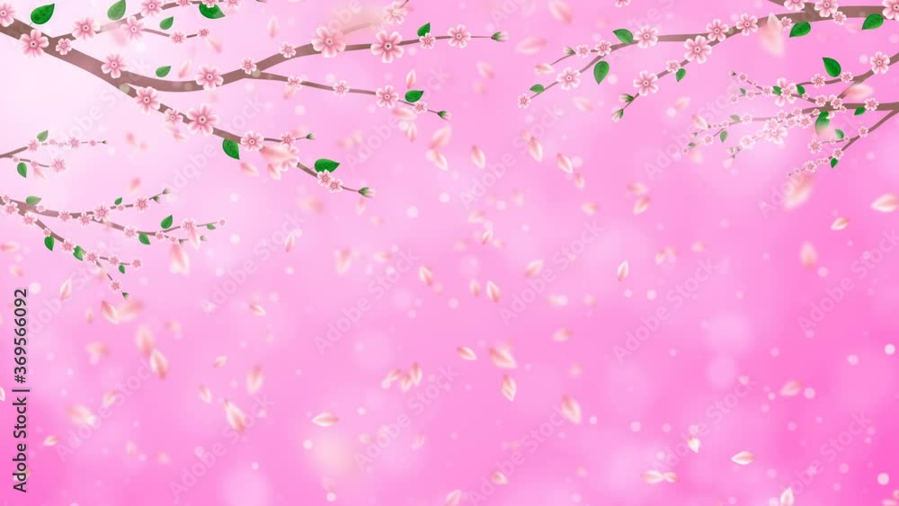 Pink Cherry blossom branch with falling petals animation. Japanese spring sakura flat design background. Pink Cherry blossom branch with falling petals animation. Japanese spring sakura flat design background.