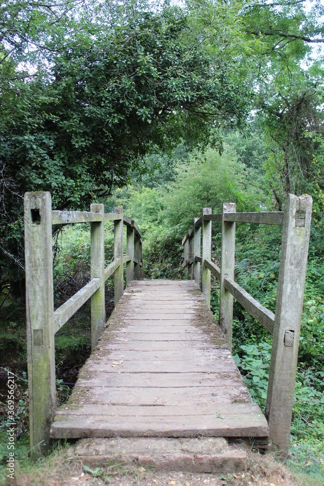 wooden bridge in the forest