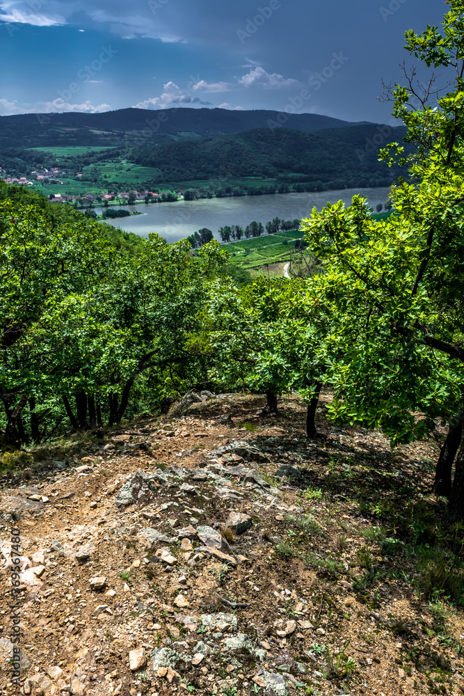 Obraz premium Heavy Thunderclouds Over Vineyards In Wachau Danube Valley In Austria