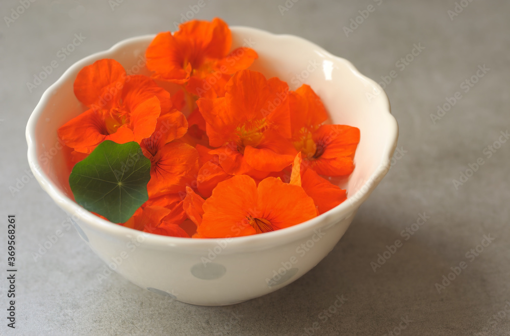 Flowers on a round bowl on the gray background. Selective focus. Flowers on a round bowl on the gray background. Selective focus.