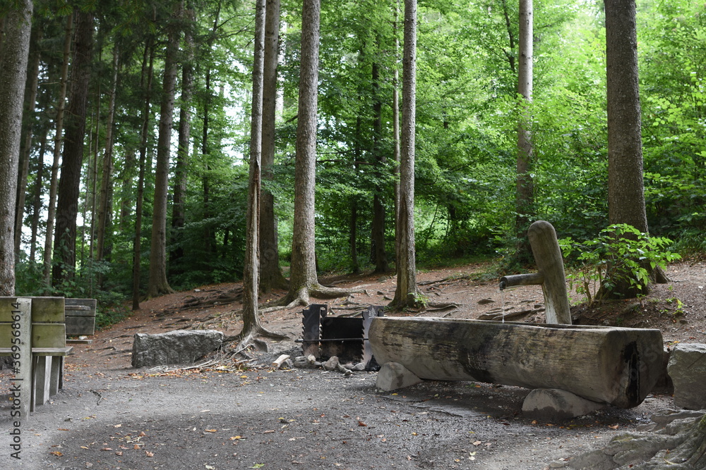 Convenient and comfortable place with center of a fire for barbecue in the middle of the forest with spring of fresh cold drinking water gouged out to tree trunk.
Convenient and comfortable place with center of a fire for barbecue in the middle of the forest with spring of fresh cold drinking water gouged out to tree trunk.