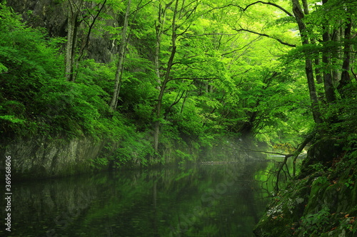 岩手県住田町 夏の鏡岩