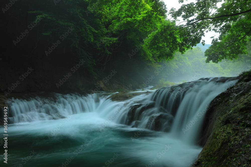 Obraz premium 岩手県住田町 夏の滝
