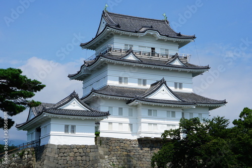 Wallpaper Mural 青空に白い壁が映える小田原城天守閣 Torontodigital.ca
