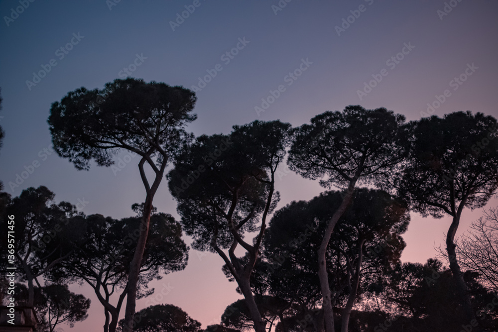 A Glimpse of Rome A Glimpse of Rome