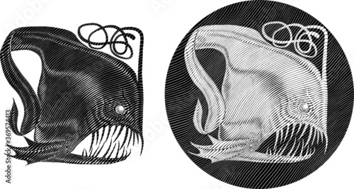 Two various black and white vector illustrations of seadevil fish engravin style