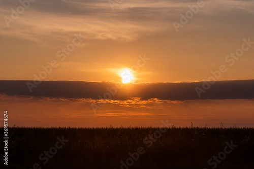 Sunrise over an agricultural field