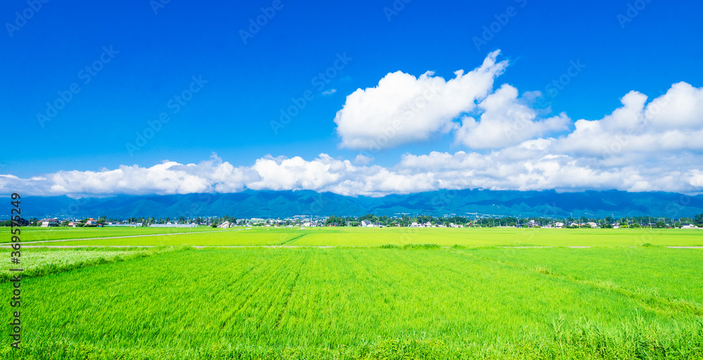 夏の信州　安曇野の田園風景　ワイド