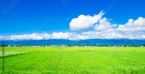 夏の信州　安曇野の田園風景　ワイド © oben901
