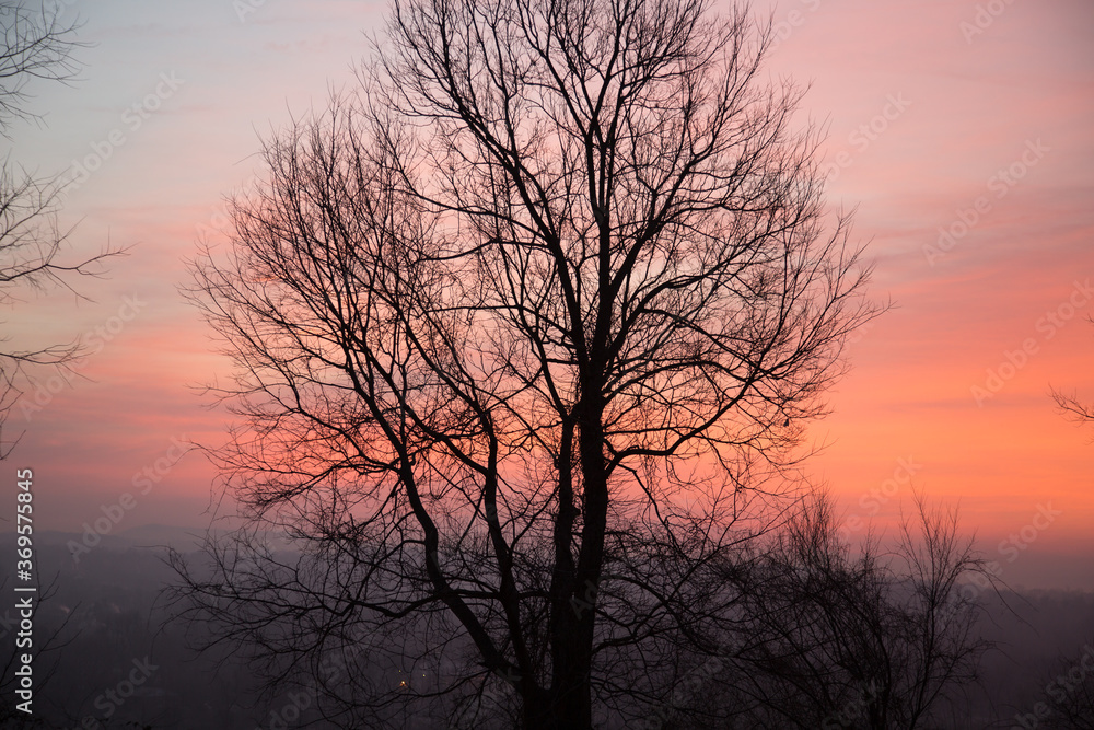 A sunset with silhouettes of leafless trees near Richlandtown, Pennsylvania A sunset with silhouettes of leafless trees near Richlandtown, Pennsylvania