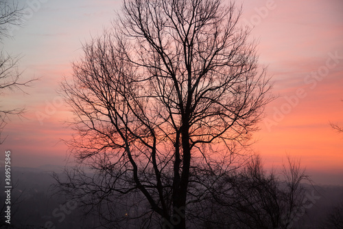 A sunset with silhouettes of  leafless trees near Richlandtown  Pennsylvania