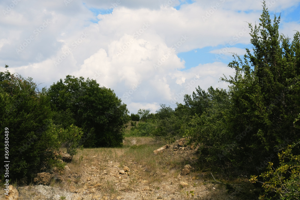 Rural North Texas landscape during summer with clouds in sky.