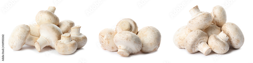 Set with fresh champignon mushrooms on white background, banner design Set with fresh champignon mushrooms on white background, banner design
