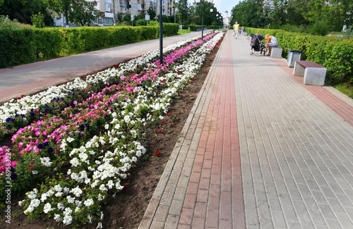 A flowerbed blooming on the sidewalk plays with flowers of different colors . City improvement