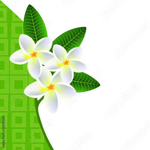  Illustration of a floral background with a sprig of plumeria frangipani (Plumeria) with leaves.