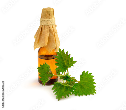 Urtica Medicinal and Culinary Herb Plant. Extract Oil Tincture Isolated on White Background. Also Known as Nettles or Stinging Nettles. photo