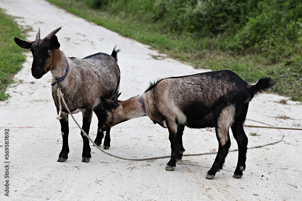 Fototapeta premium 한국에서여름휴가철에고향가면서찍은사진입니다
