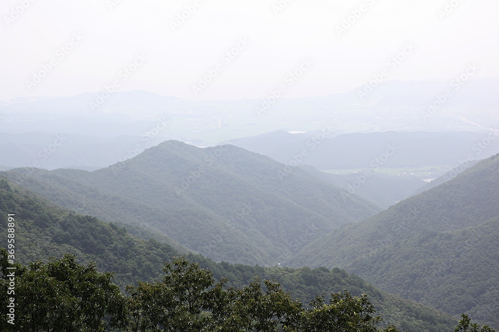 Obraz premium 한국의여름휴가철에고향가면서찍은사진입니다