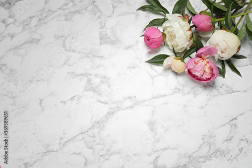 Beautiful peonies on white marble background, flat lay. Space for text