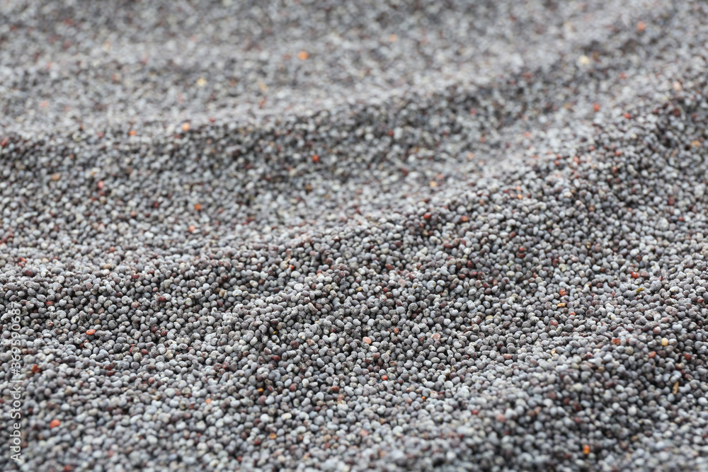 Dry poppy seeds as background, closeup view Dry poppy seeds as background, closeup view