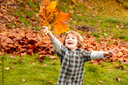 Autumn leaves kid. Autumn outdoor portrait of cute happy child boy walking in park or forest in warm knitted Clothing.