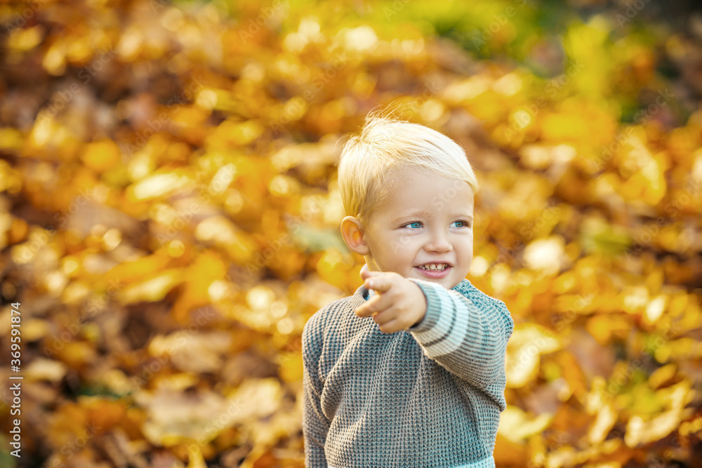 Kid with autumn leaves in the beauty park. Autumn child portrait, fall foliage. Kid with autumn leaves in the beauty park. Autumn child portrait, fall foliage.