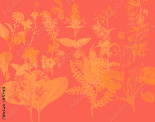 Here is a background image of yellow flower silhouettes on a red orange background.