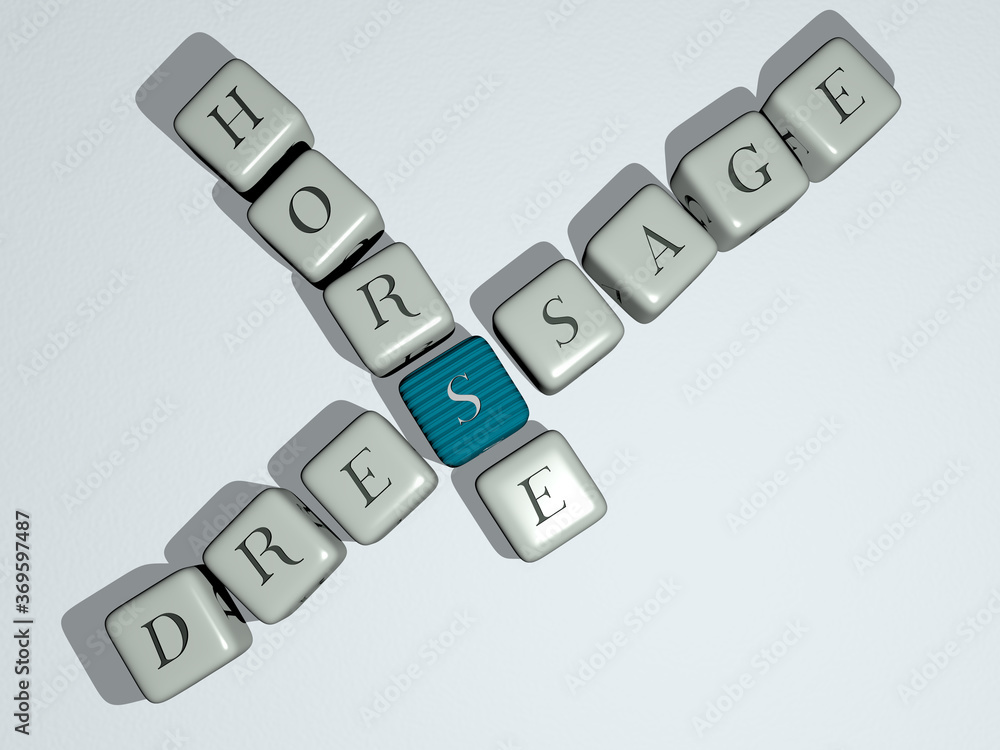 combination of DRESSAGE HORSE built by cubic letters from the top perspective, excellent for the concept presentation. equestrian and animal combination of DRESSAGE HORSE built by cubic letters from the top perspective, excellent for the concept presentation. equestrian and animal