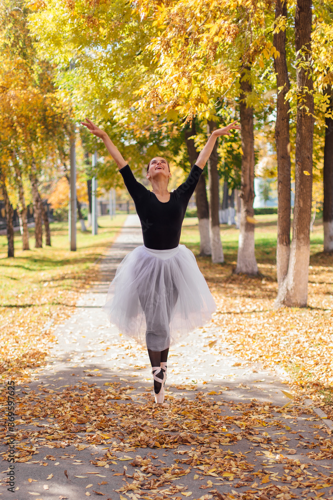 Woman ballerina in a white ballet skirt dancing in pointe shoes in a golden autumn park on dry yellow leaves. Woman ballerina in a white ballet skirt dancing in pointe shoes in a golden autumn park on dry yellow leaves.