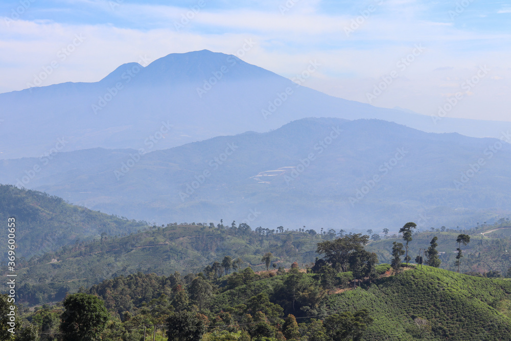 mountain view with some tea plantation hills in front of it