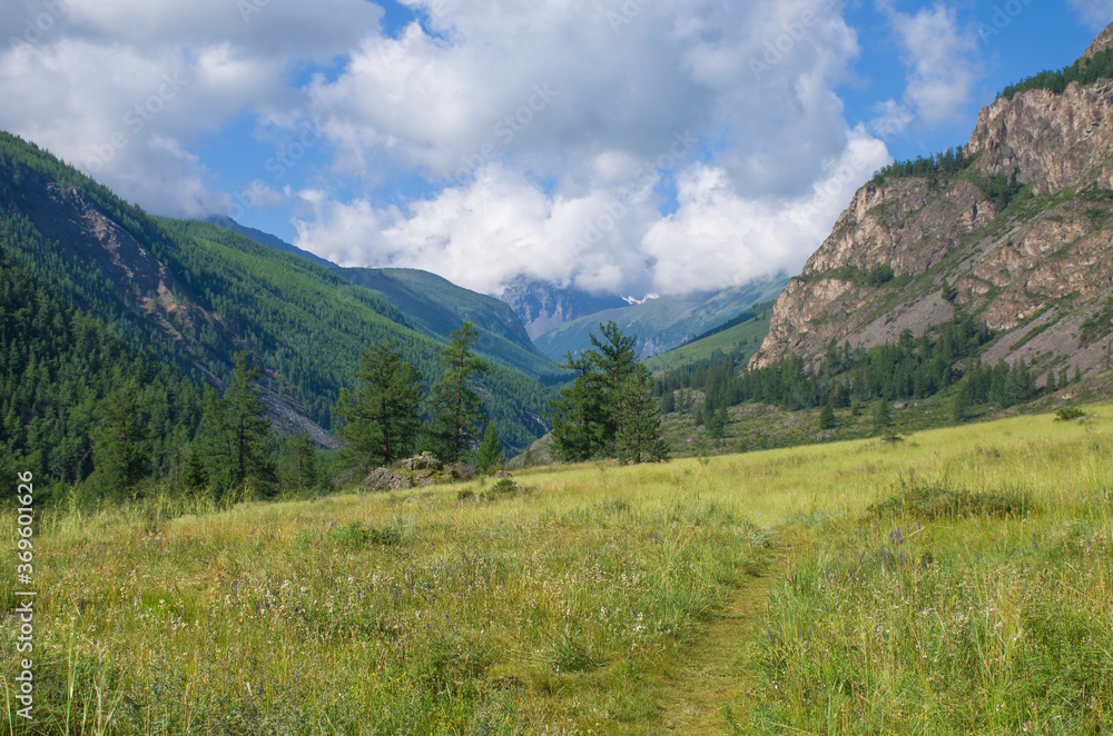 The trail goes to the Altai Mountains in Russia landscape
