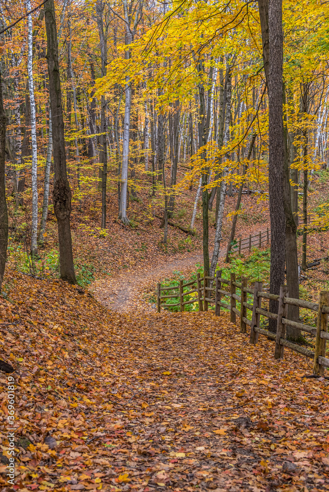 Fototapeta premium Fall time in park