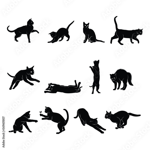 Set cat shiluette illustration vector