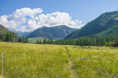 The trail goes to the Altai Mountains in Russia landscape 