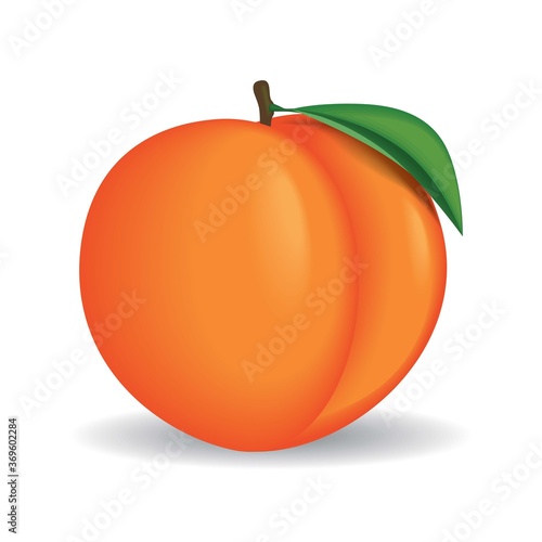 Realistic whole peach vector illustration