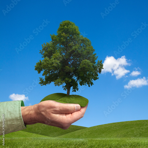 Hand holding green tree over green landscape. Environmental conservation concept photo