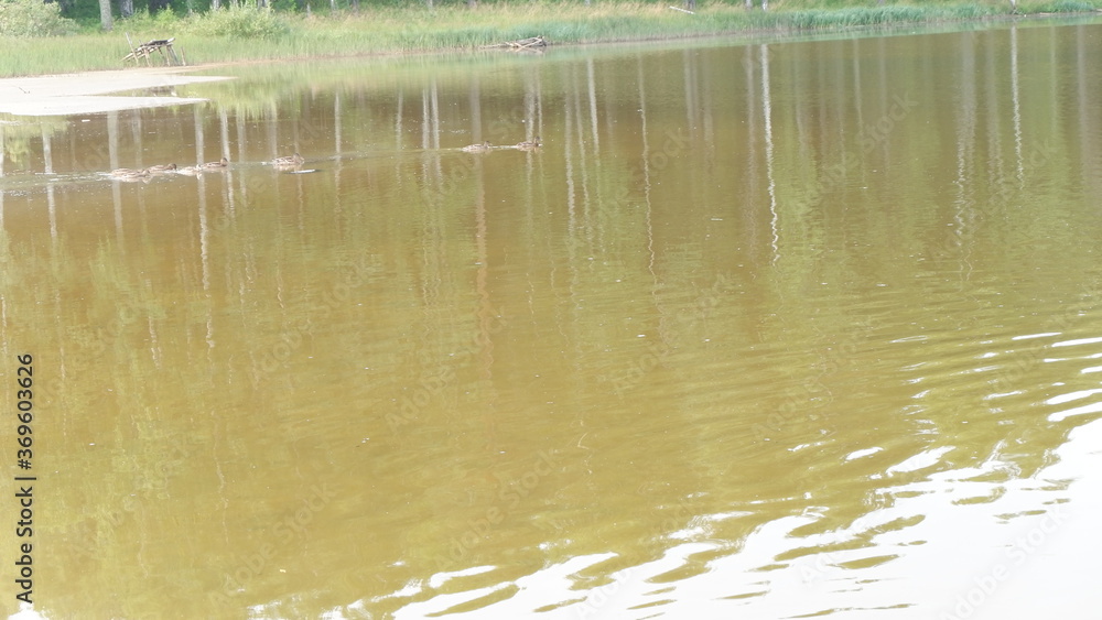 water reflection in the water water reflection in the water