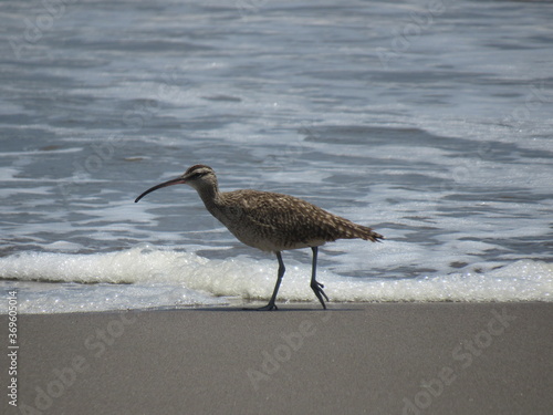 PERU photo