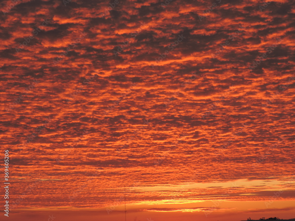 Fototapeta premium sunset in the sky
