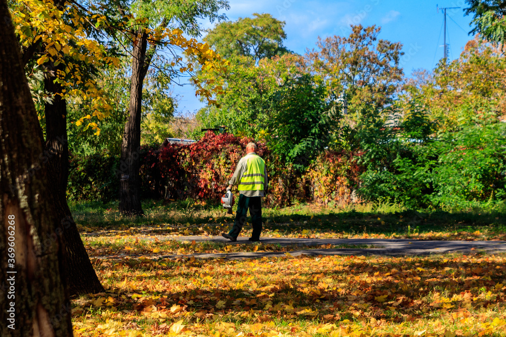 Worker uses a blower to clear fallen autumn leaves in city park Worker uses a blower to clear fallen autumn leaves in city park