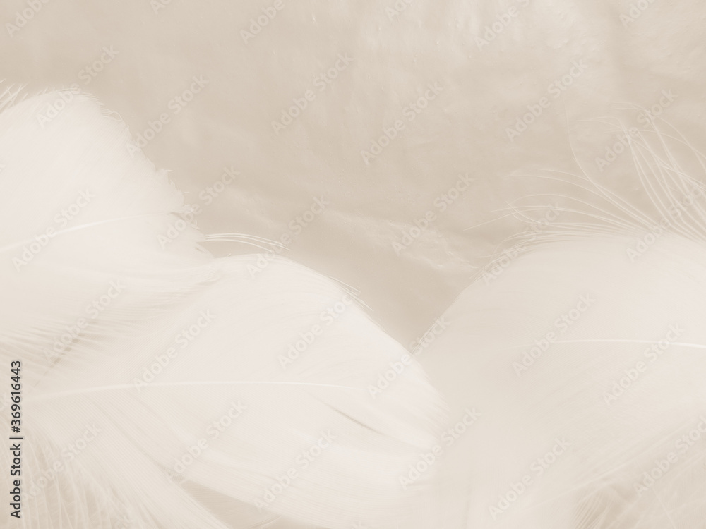 Obraz premium Beautiful abstract orange and white feathers on white background, soft brown feather texture on white pattern background, yellow feather background 