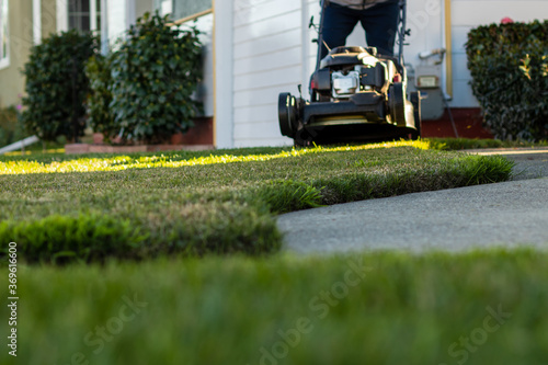 Middle aged man operating a lawn mower to cut an overgrown lawn on a sunny winter afternoon.