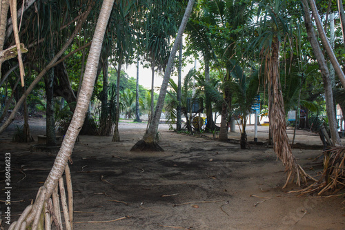 closed parking area at yanui beach covid 19