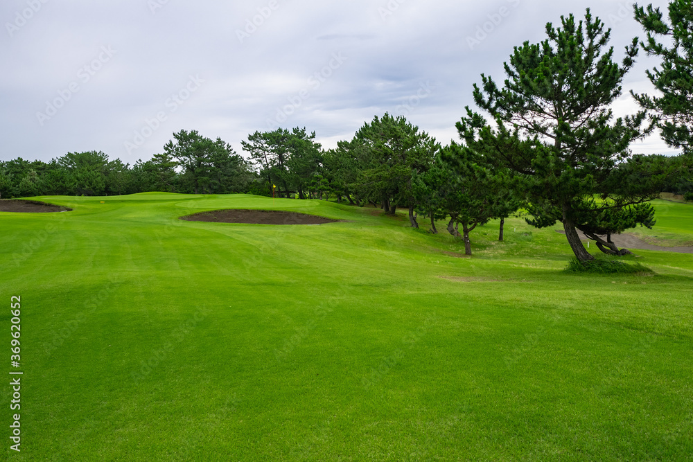 View of Golf Course with fairway field. Golf course with a rich green turf beautiful scenery. View of Golf Course with fairway field. Golf course with a rich green turf beautiful scenery.